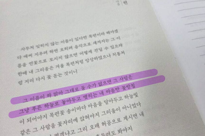 컨텐츠 이미지