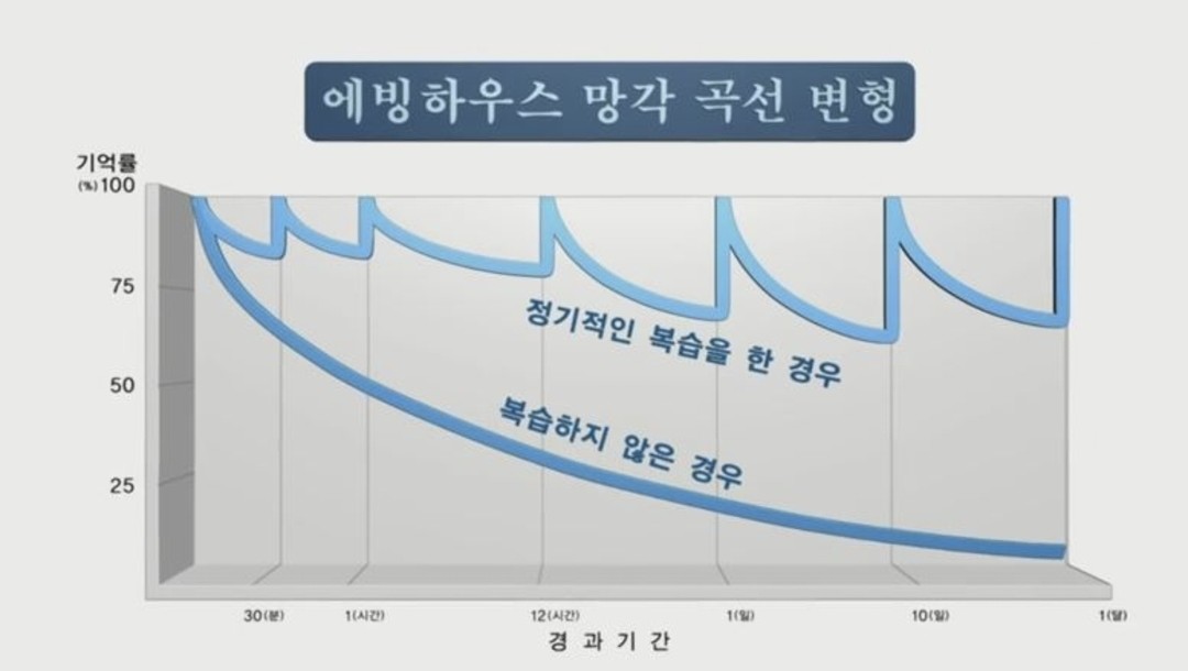 대표사진