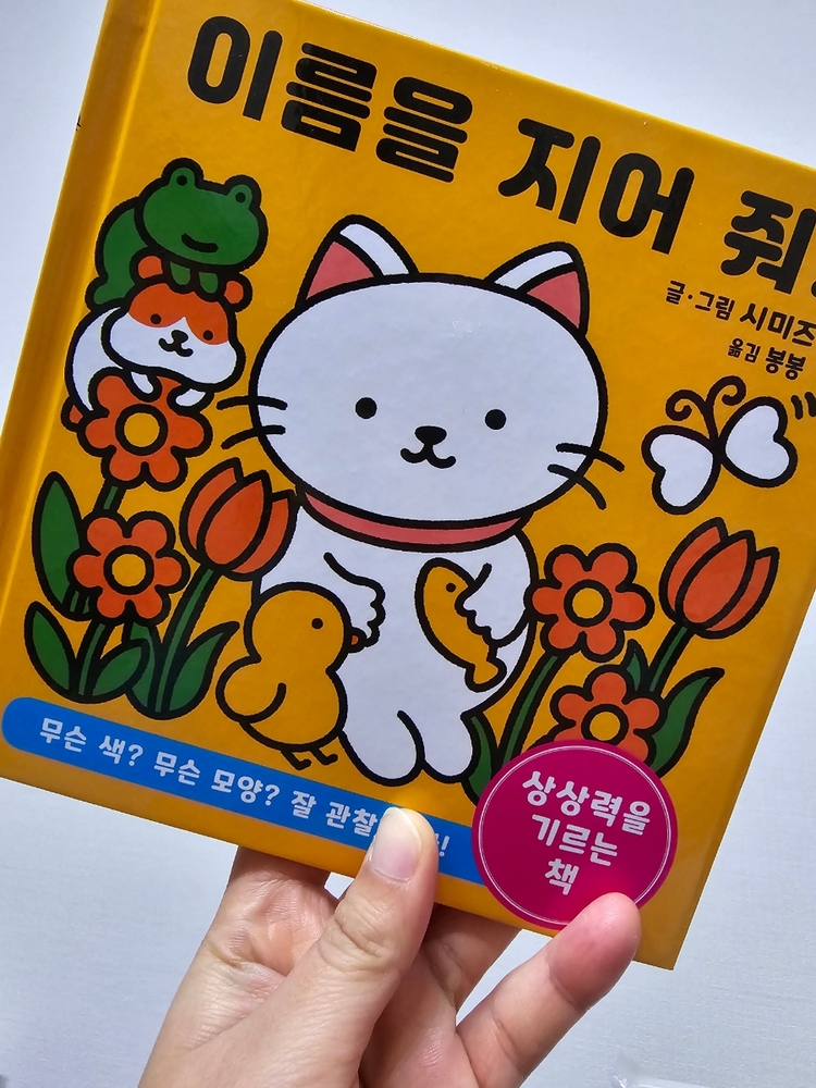컨텐츠 이미지