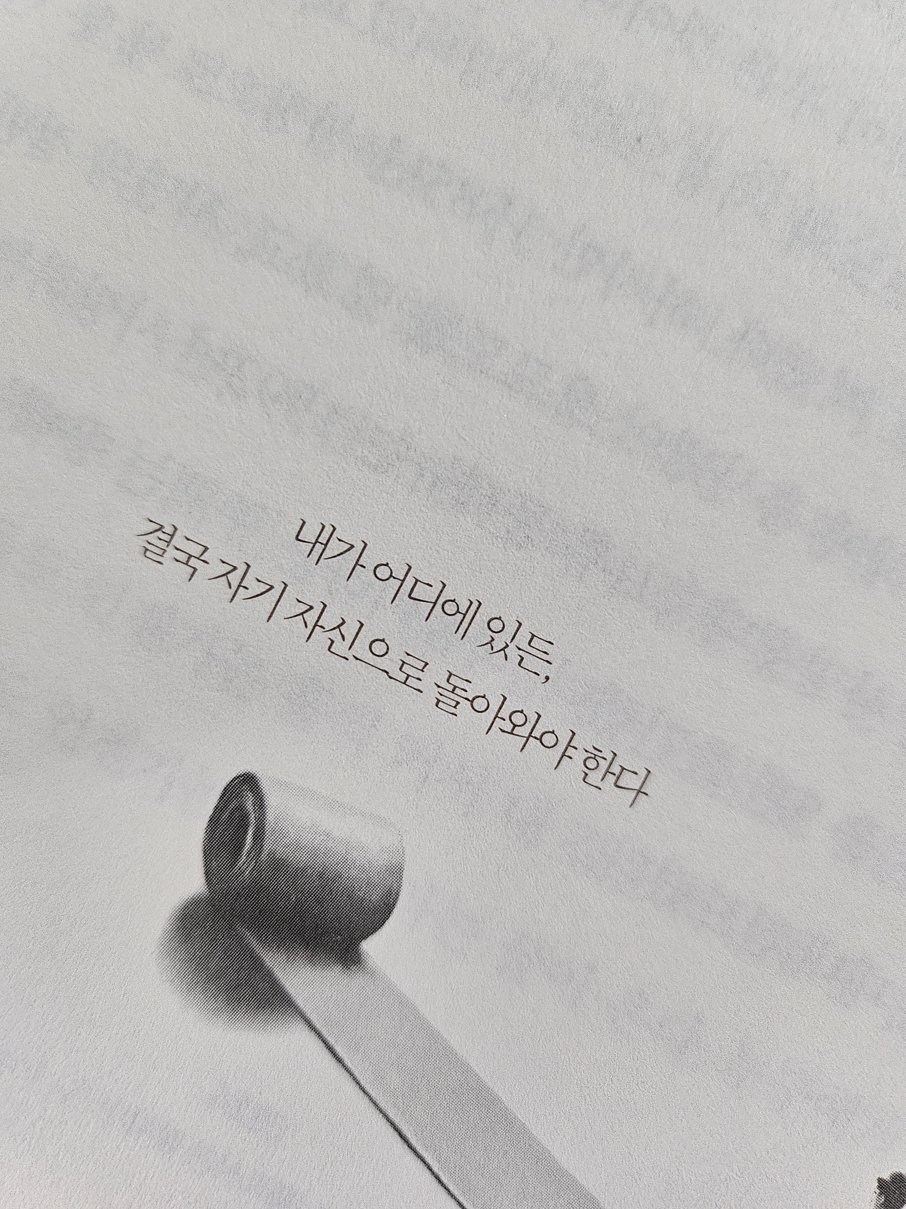 컨텐츠 이미지