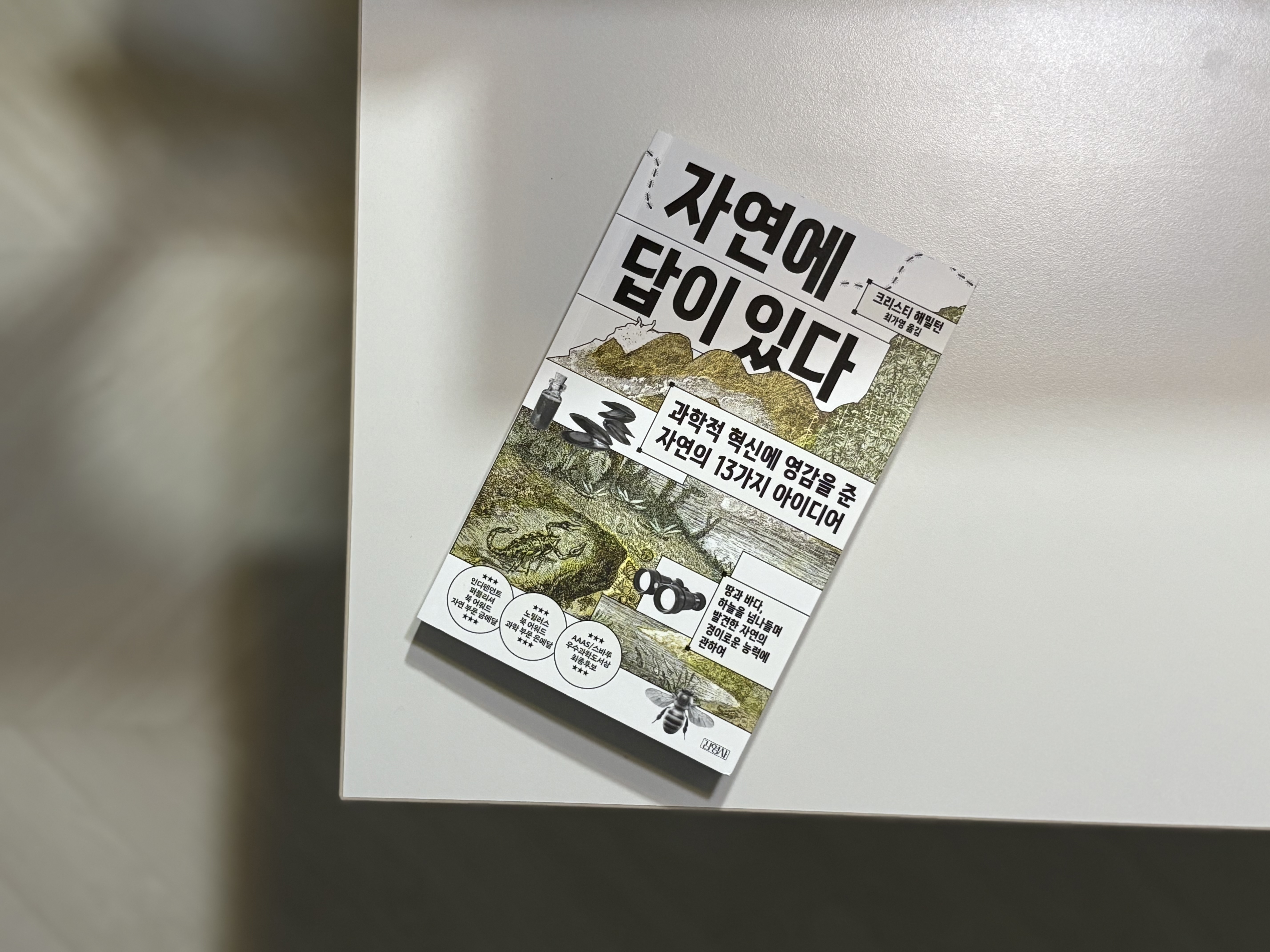 첨부된 사진