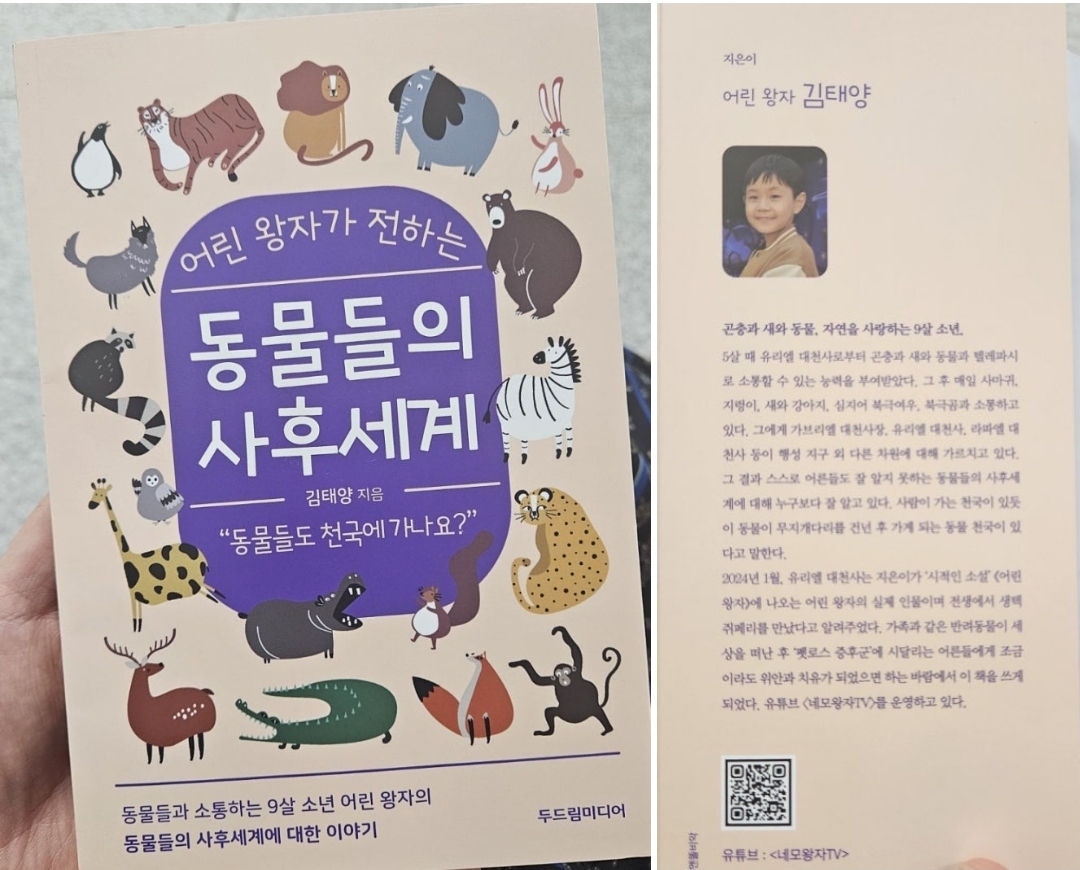 첨부된 사진