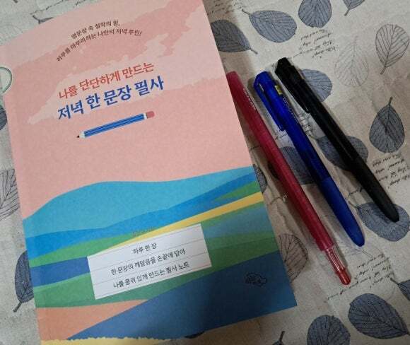 첨부된 사진