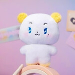 대표사진