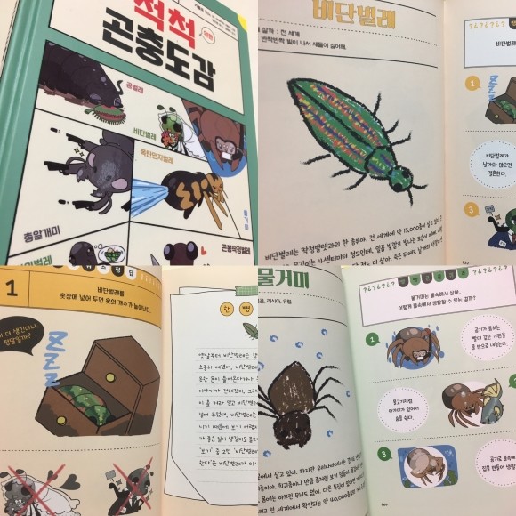 척척 곤충도감 도서 리뷰 : 귀여운 그림과 함께 재미있게 곤충에 대해서 배울 수 있는 책!! | Yes24 블로그 - 내 삶의 쉼표