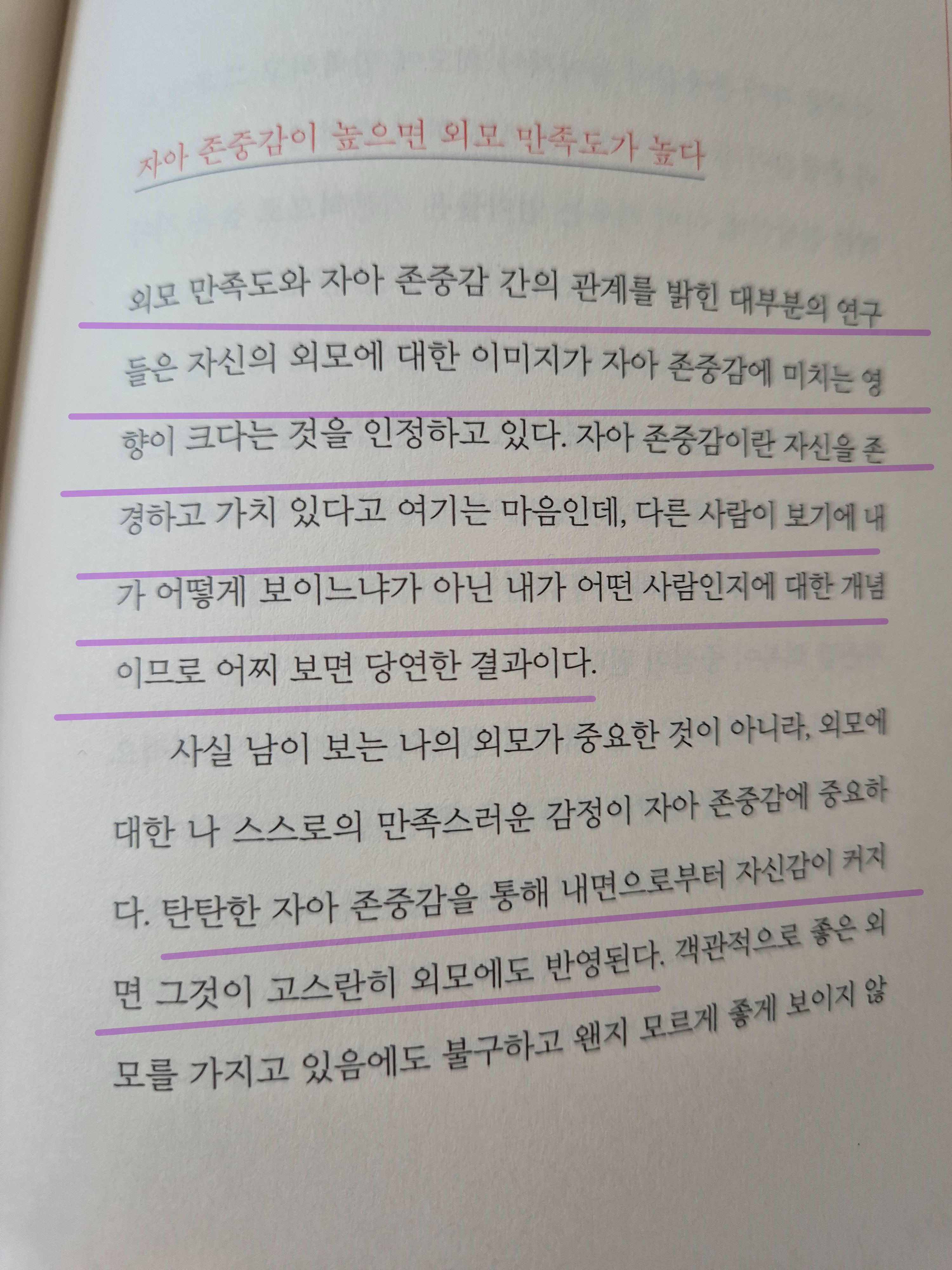 컨텐츠 이미지