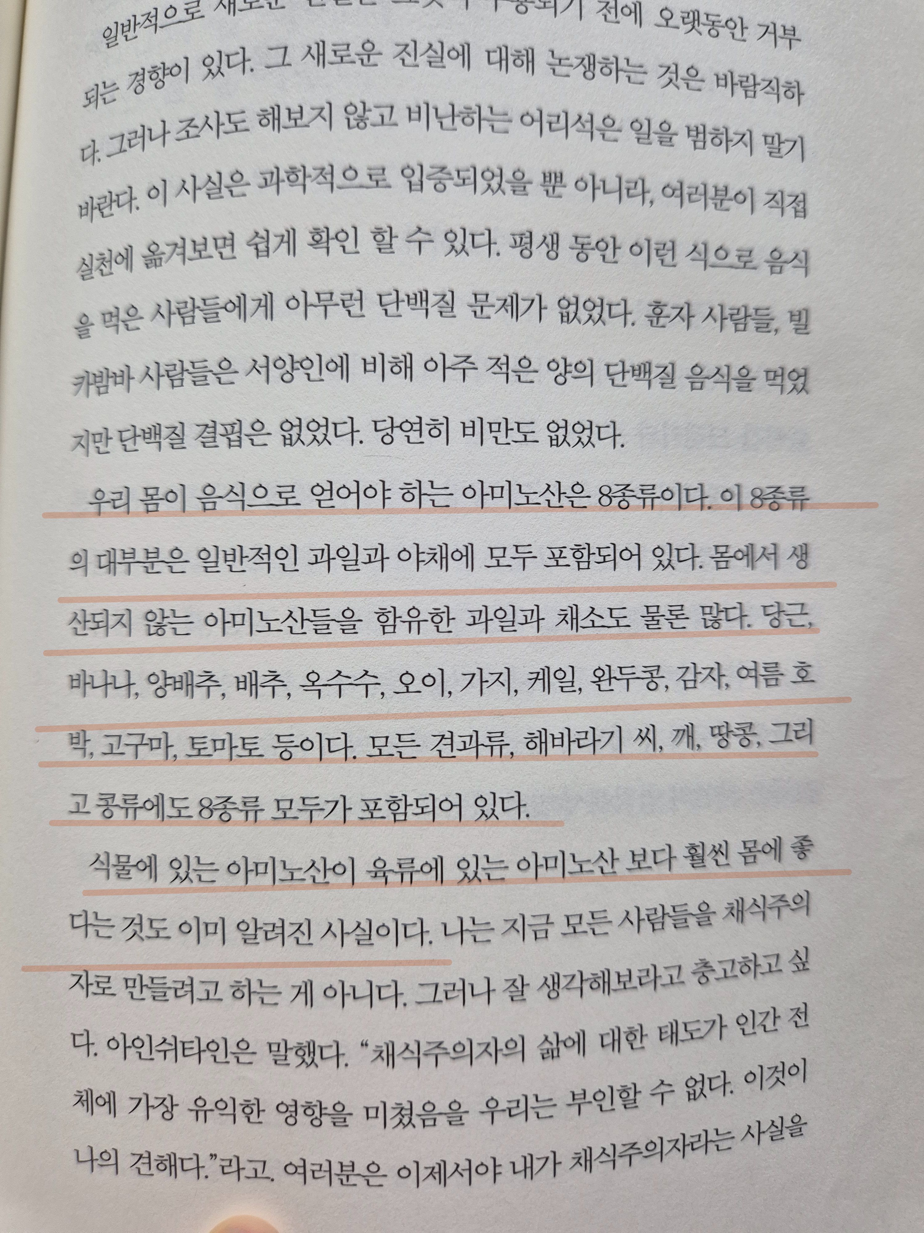 컨텐츠 이미지