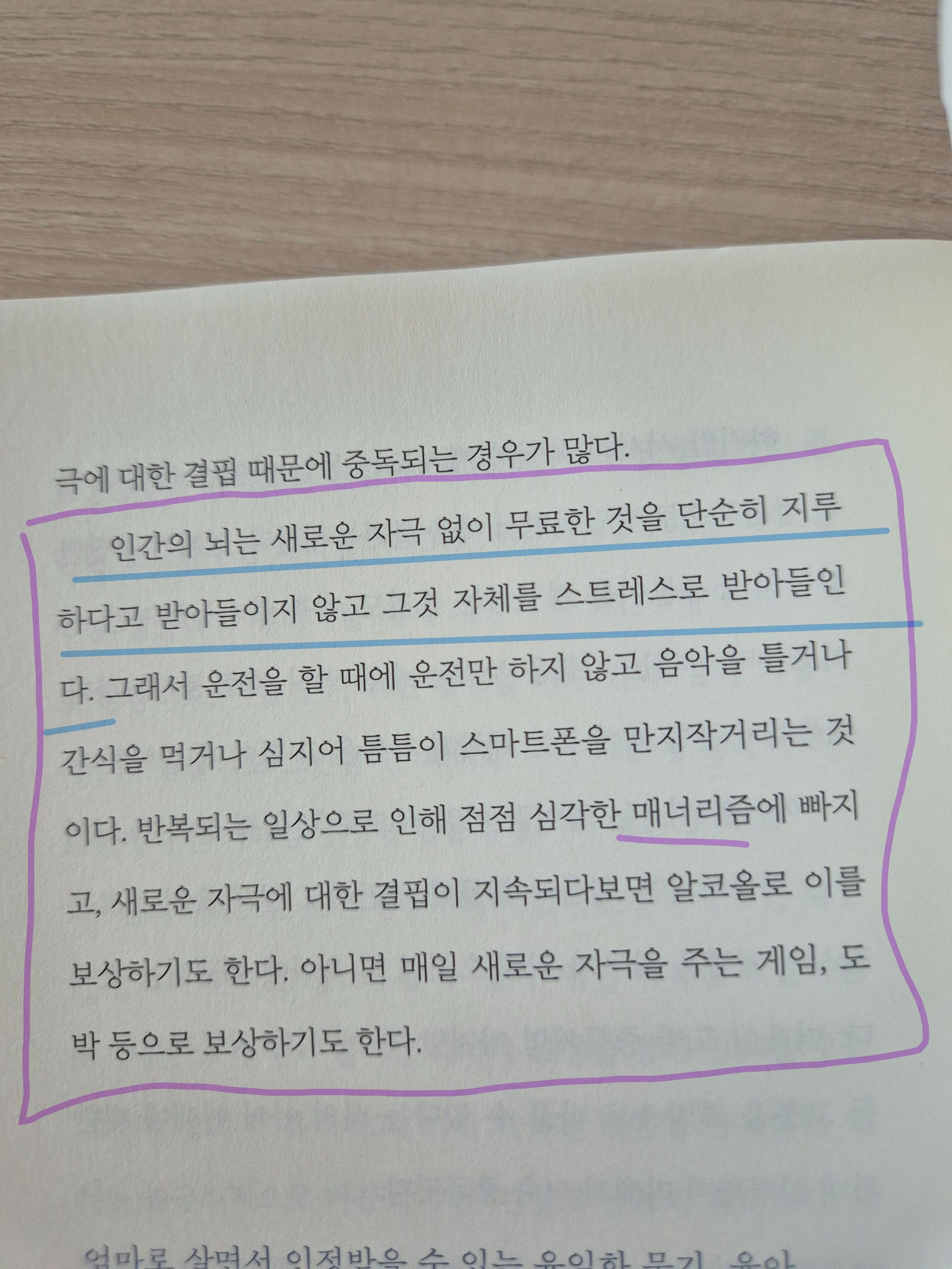컨텐츠 이미지