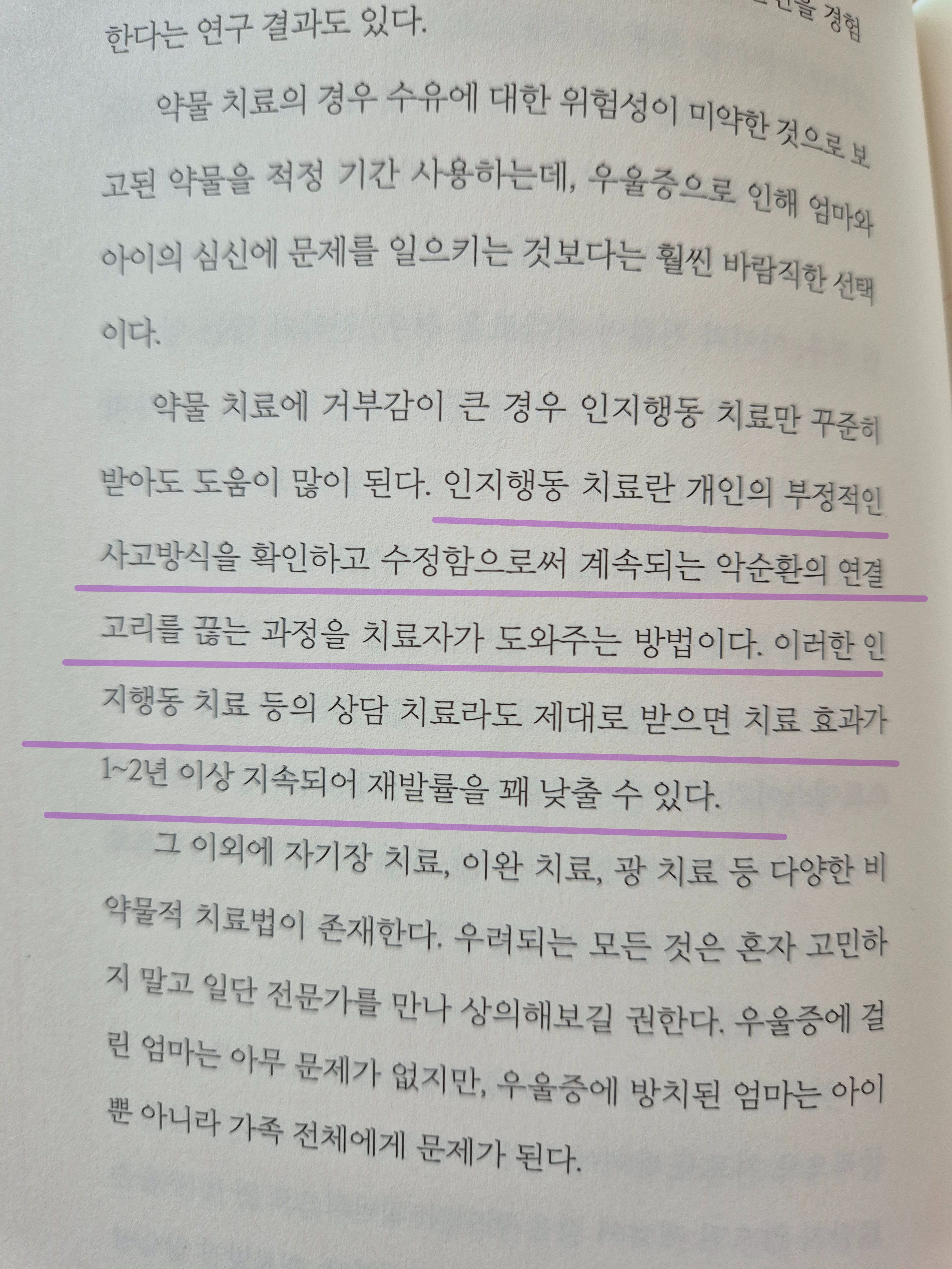컨텐츠 이미지