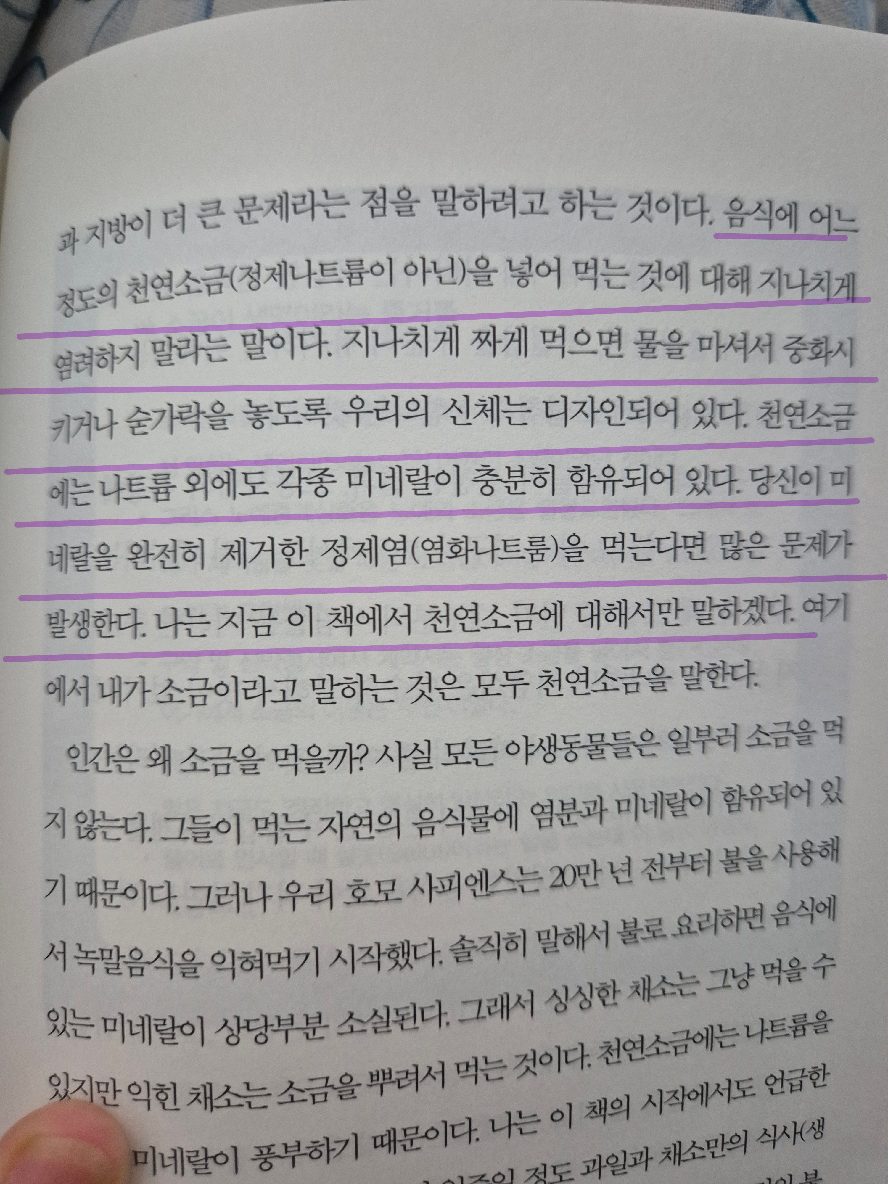 컨텐츠 이미지