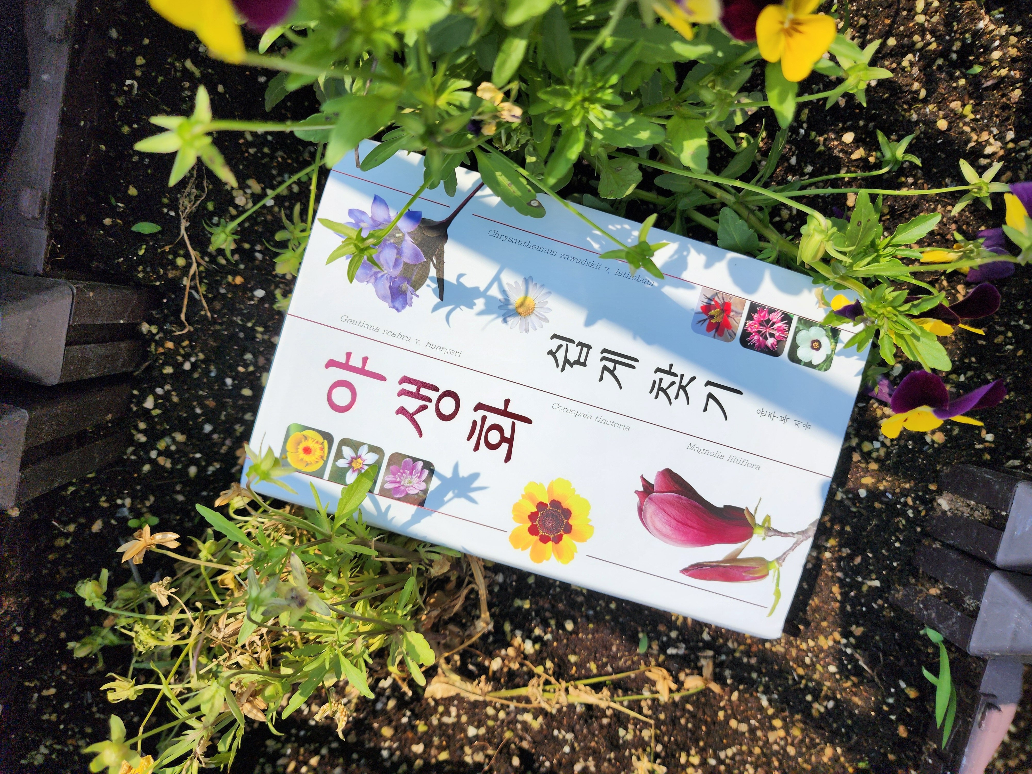 첨부된 사진