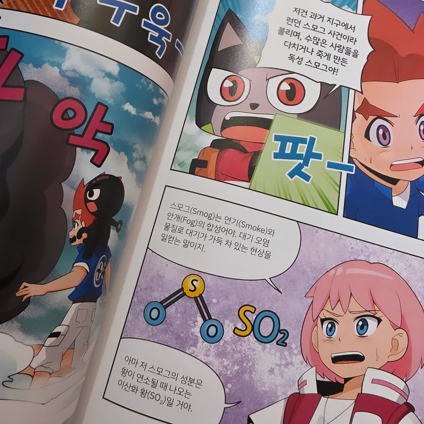 첨부된 사진