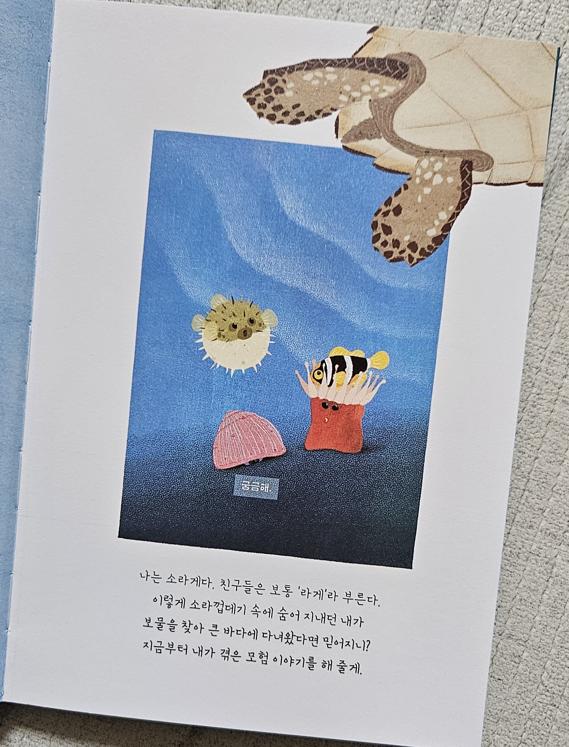 첨부된 사진
