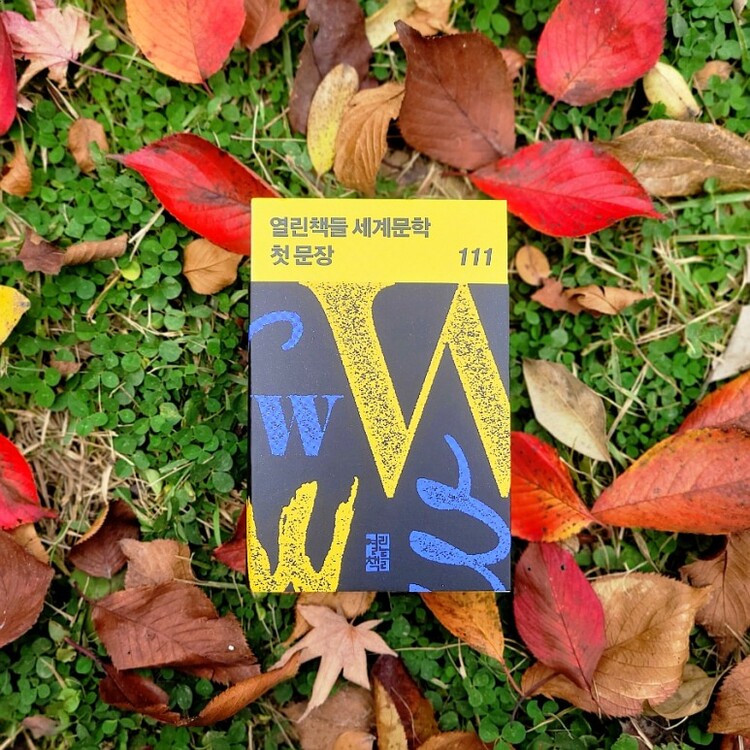 대표사진