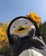 대표사진