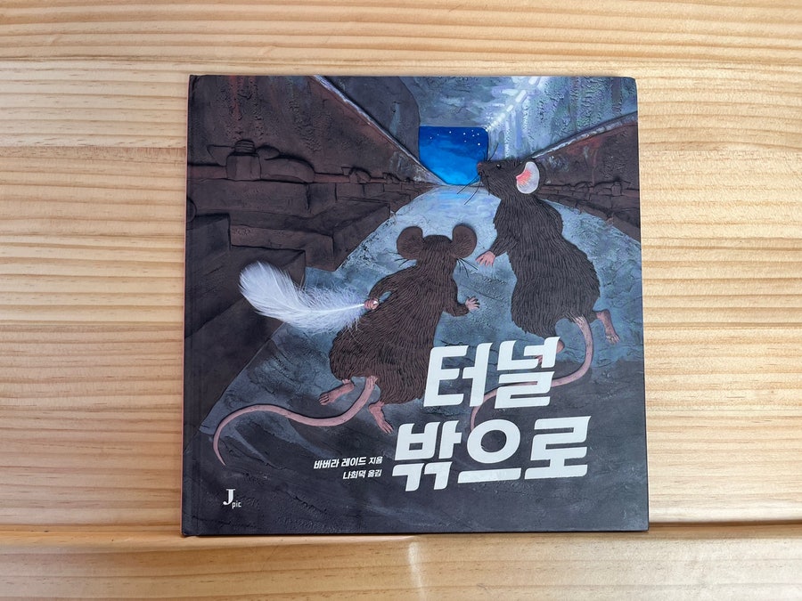 첨부된 사진