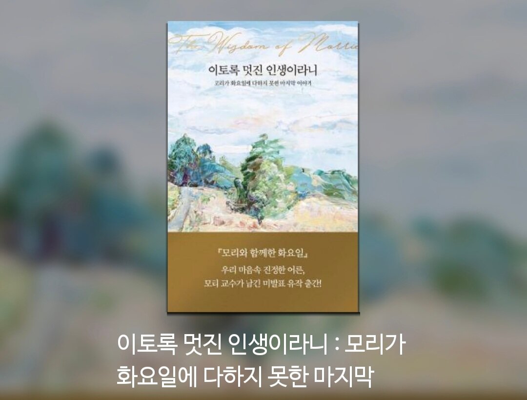 컨텐츠 이미지