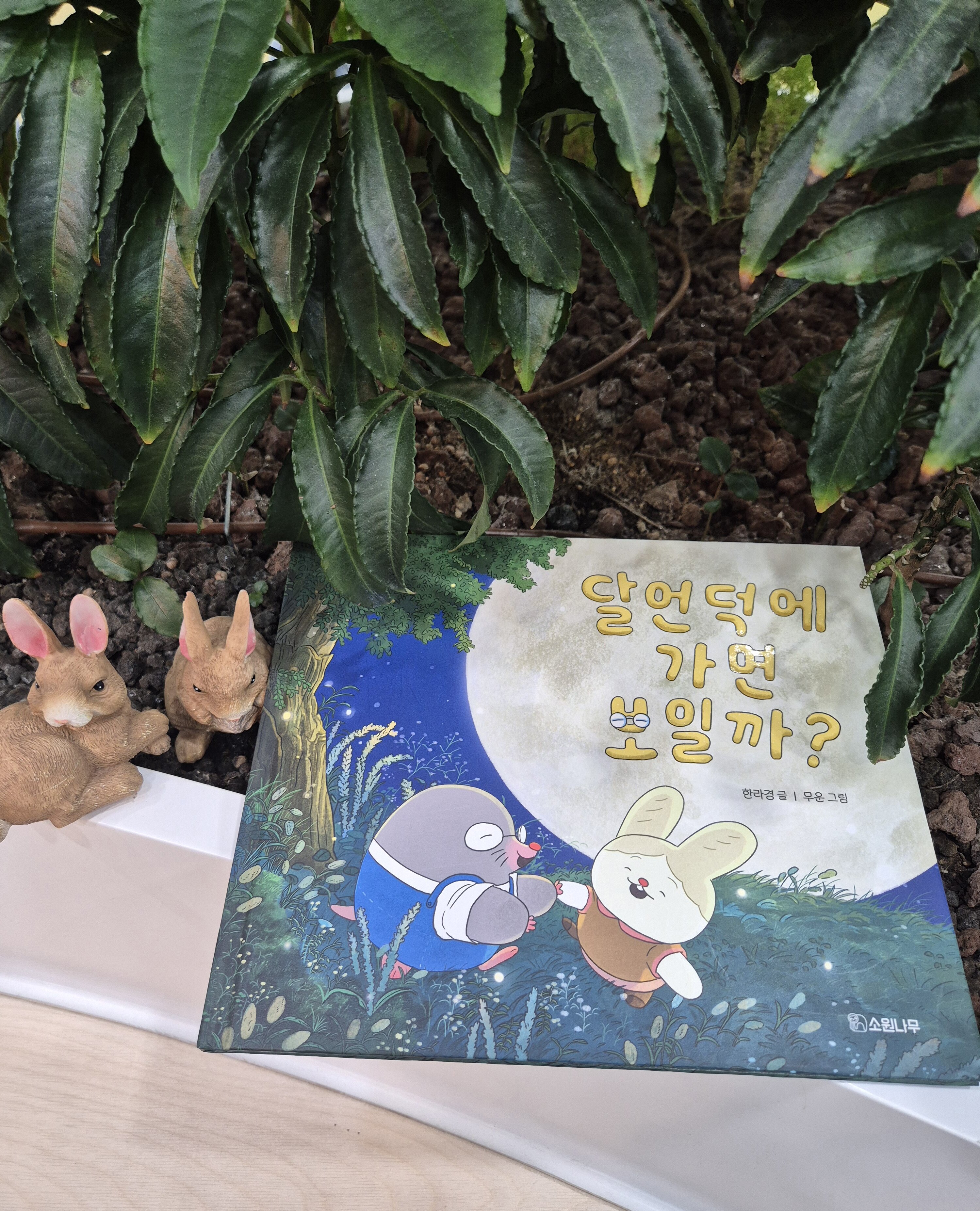 첨부된 사진