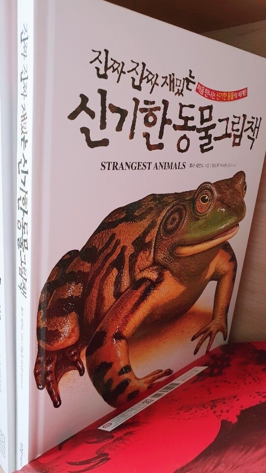 첨부된 사진