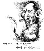 대표사진