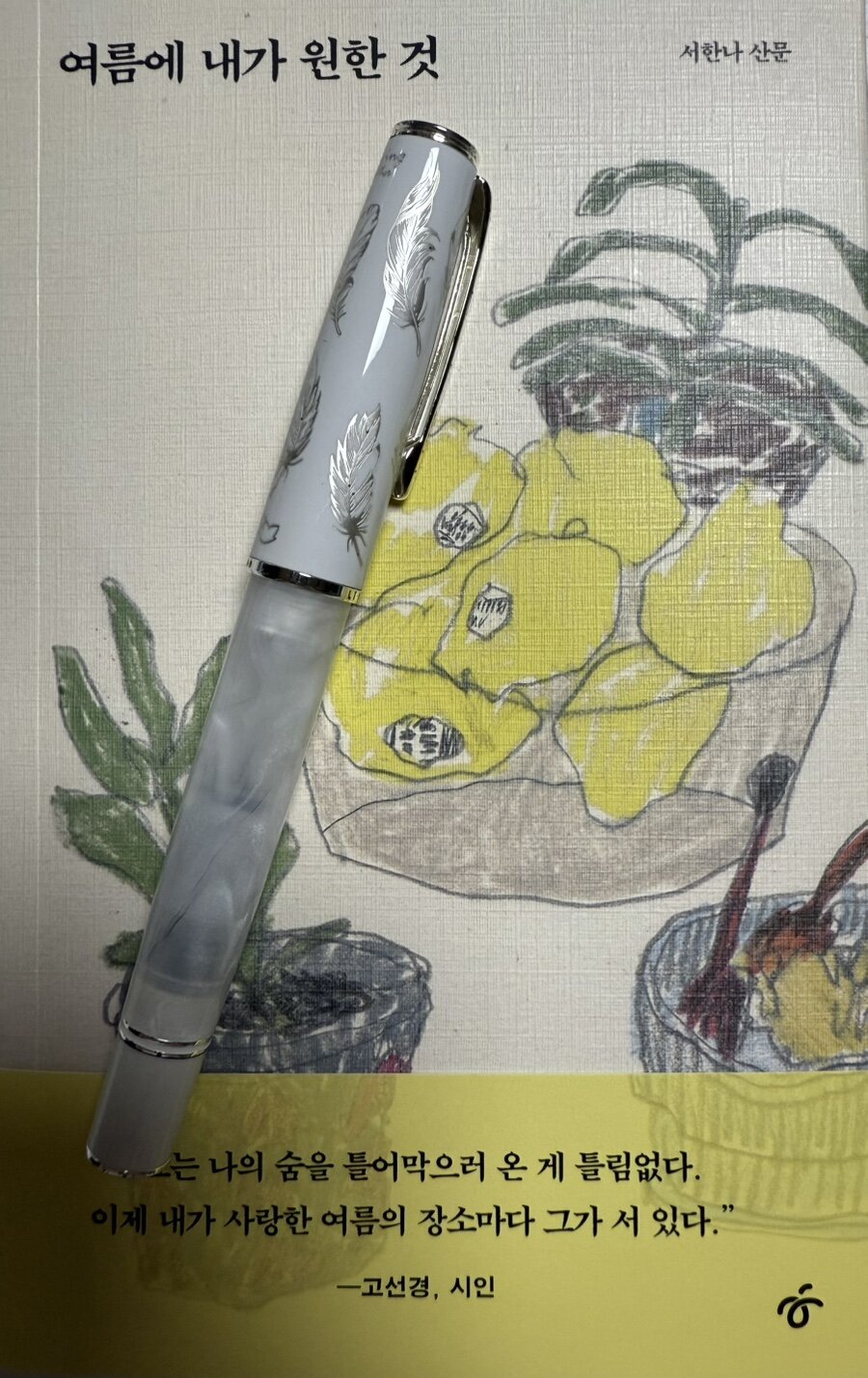 첨부된 사진