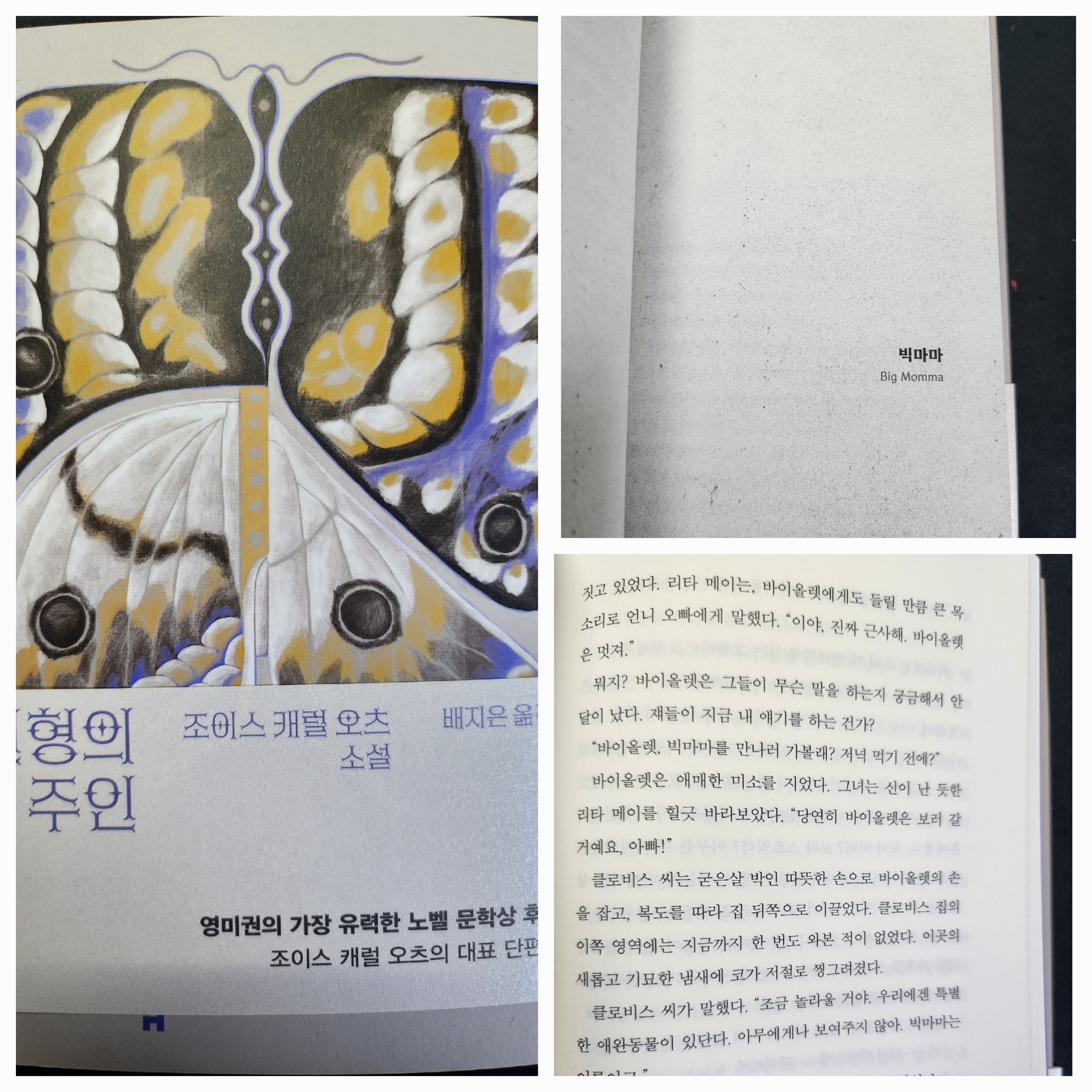 첨부된 사진