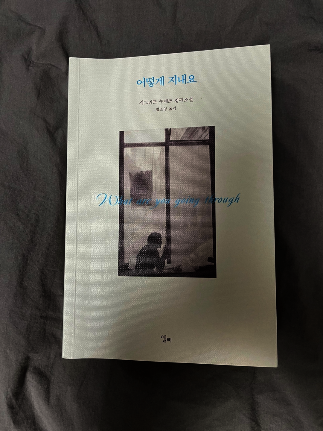 컨텐츠 이미지
