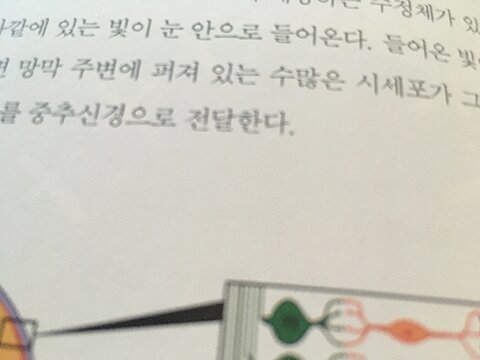 첨부된 사진