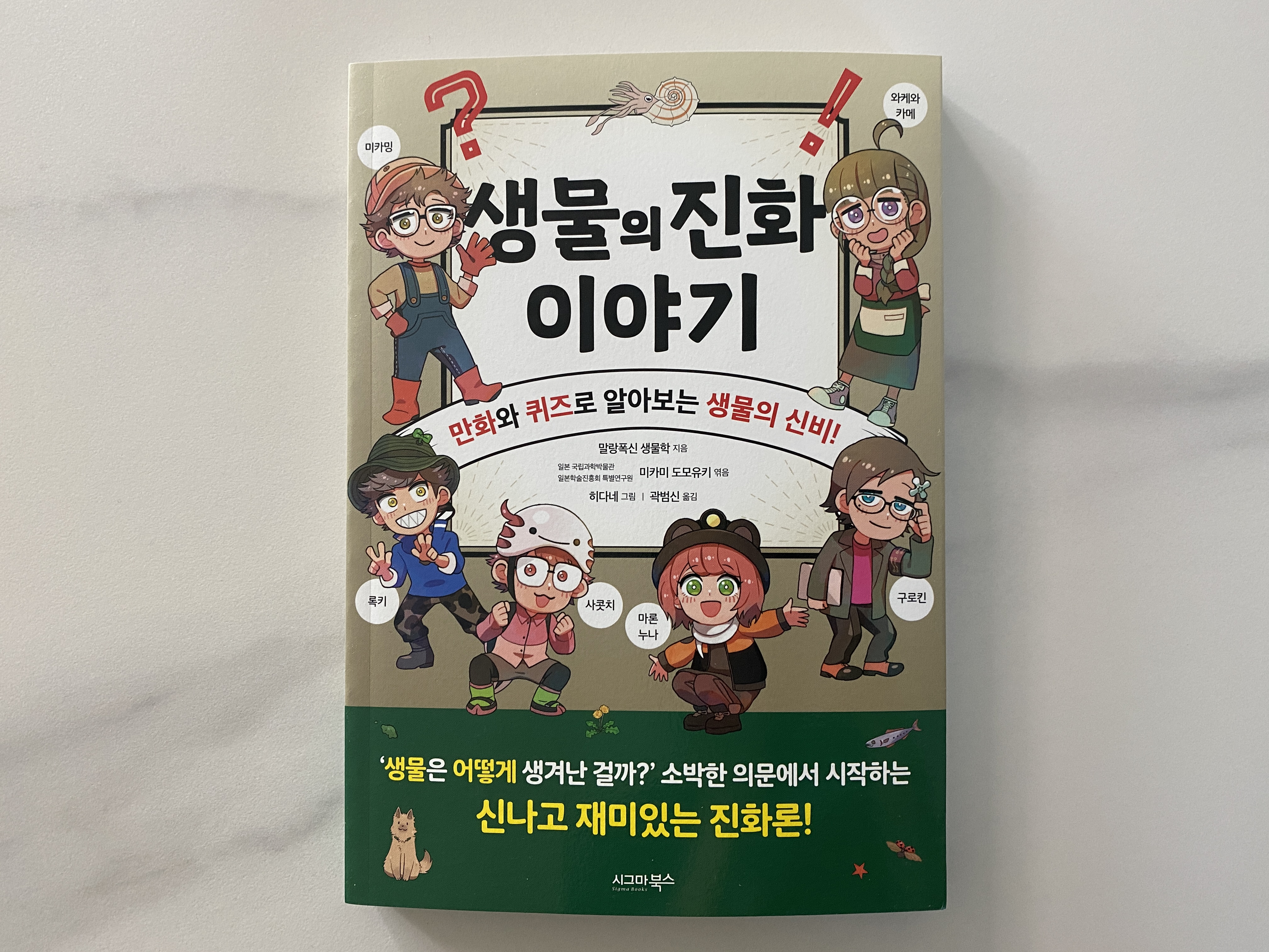 첨부된 사진