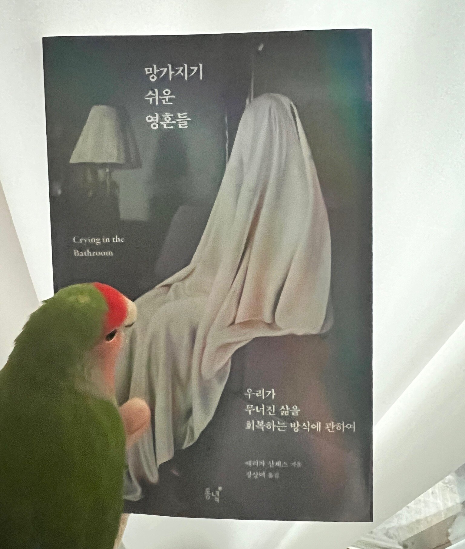 컨텐츠 이미지