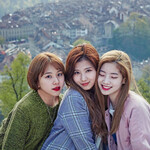 대표사진