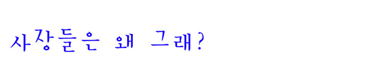 대표사진
