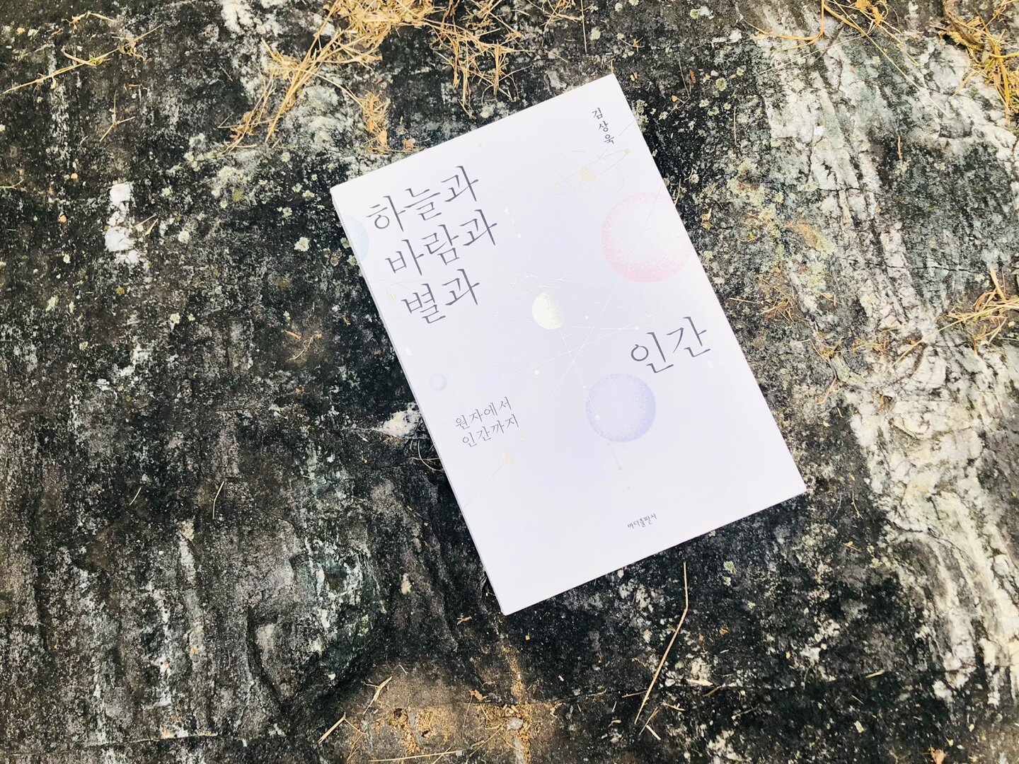컨텐츠 이미지