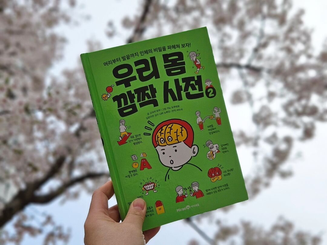 컨텐츠 이미지