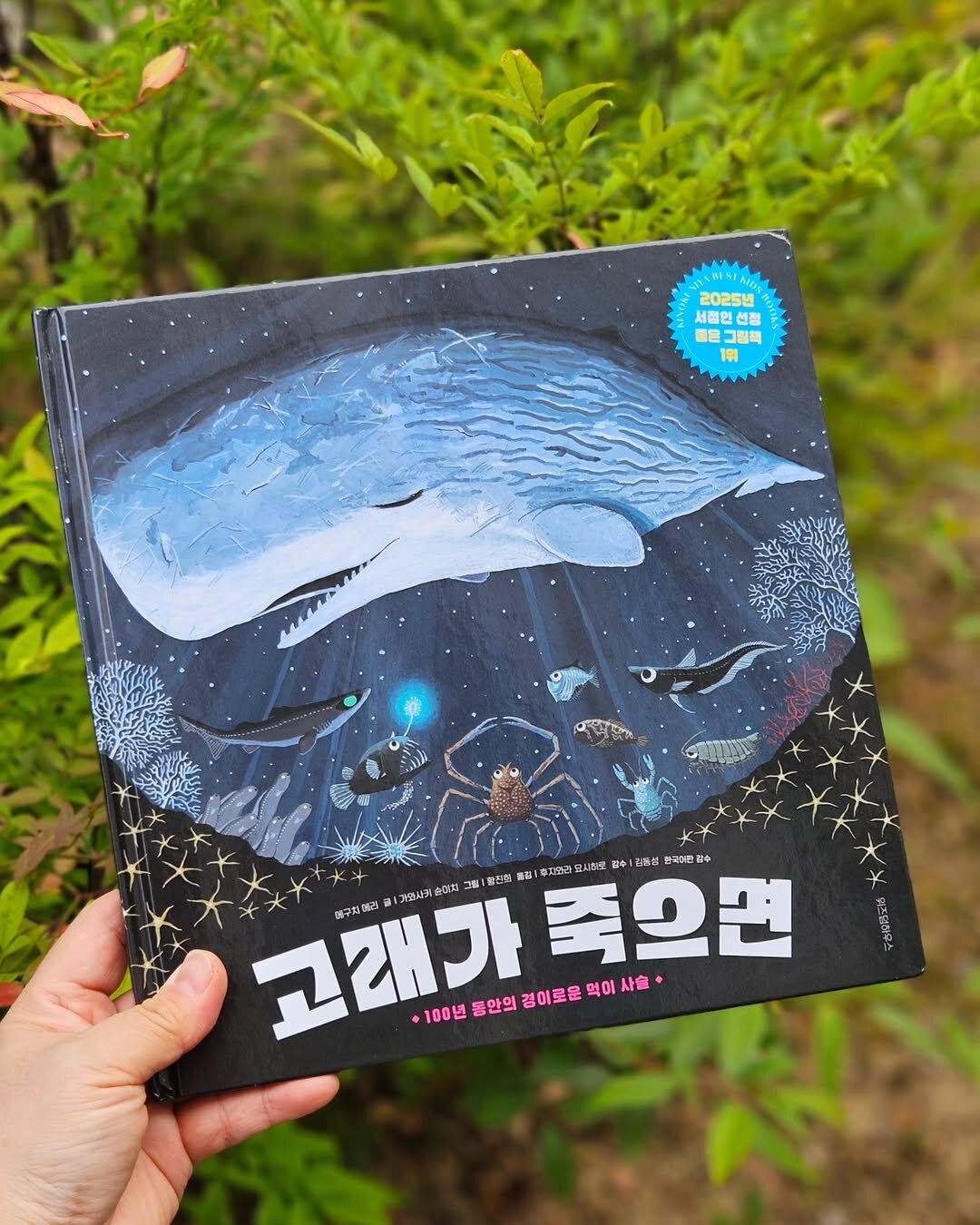 첨부된 사진
