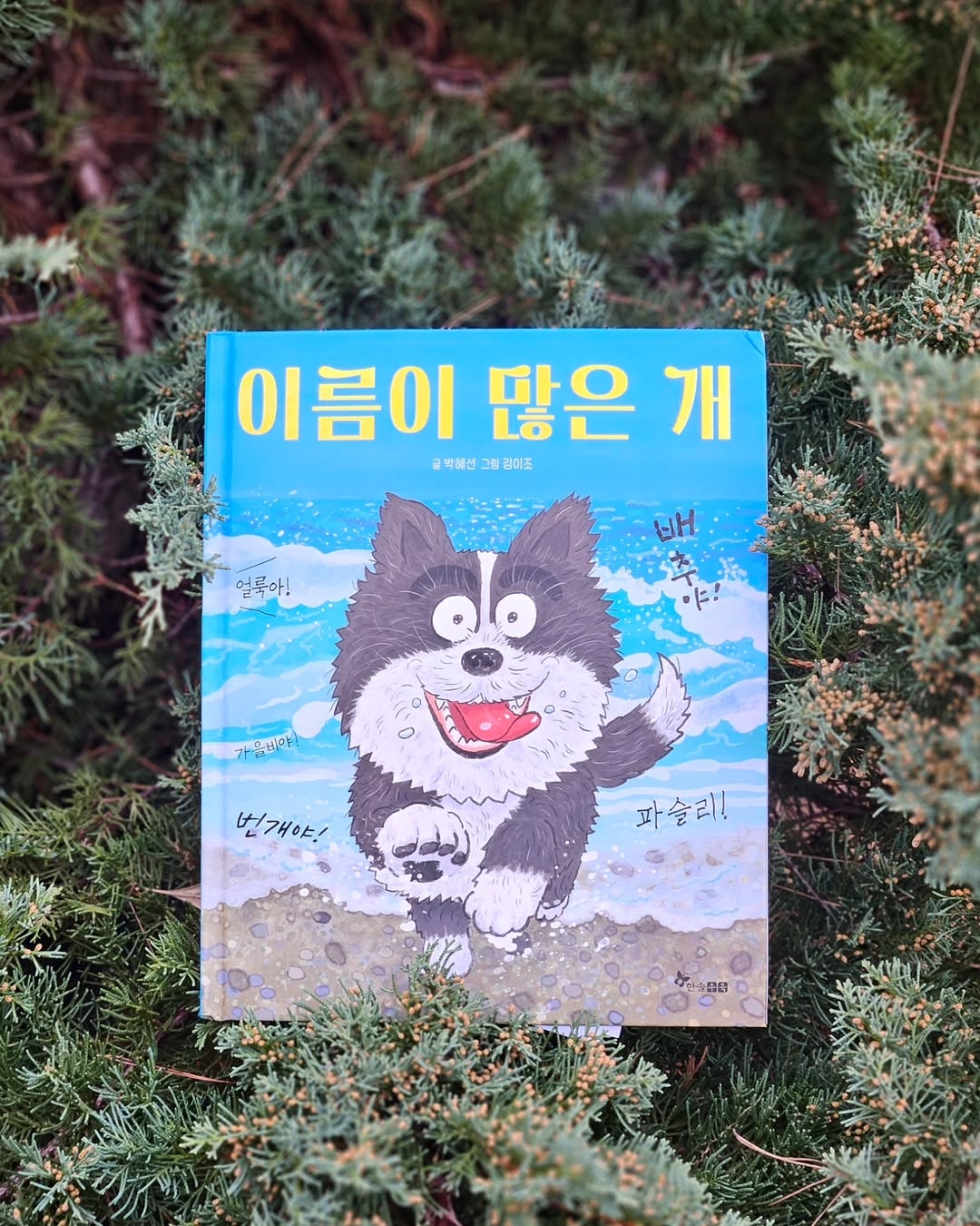 첨부된 사진