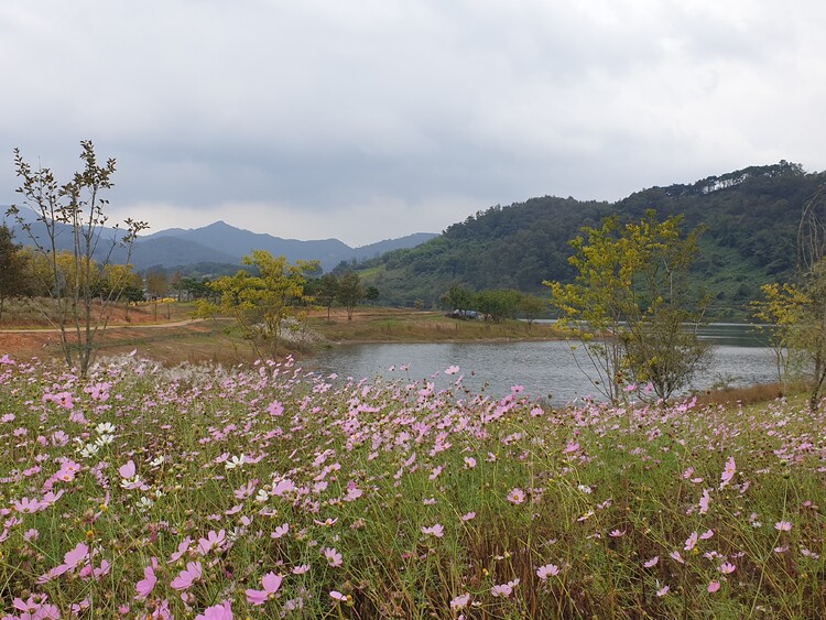 대표사진