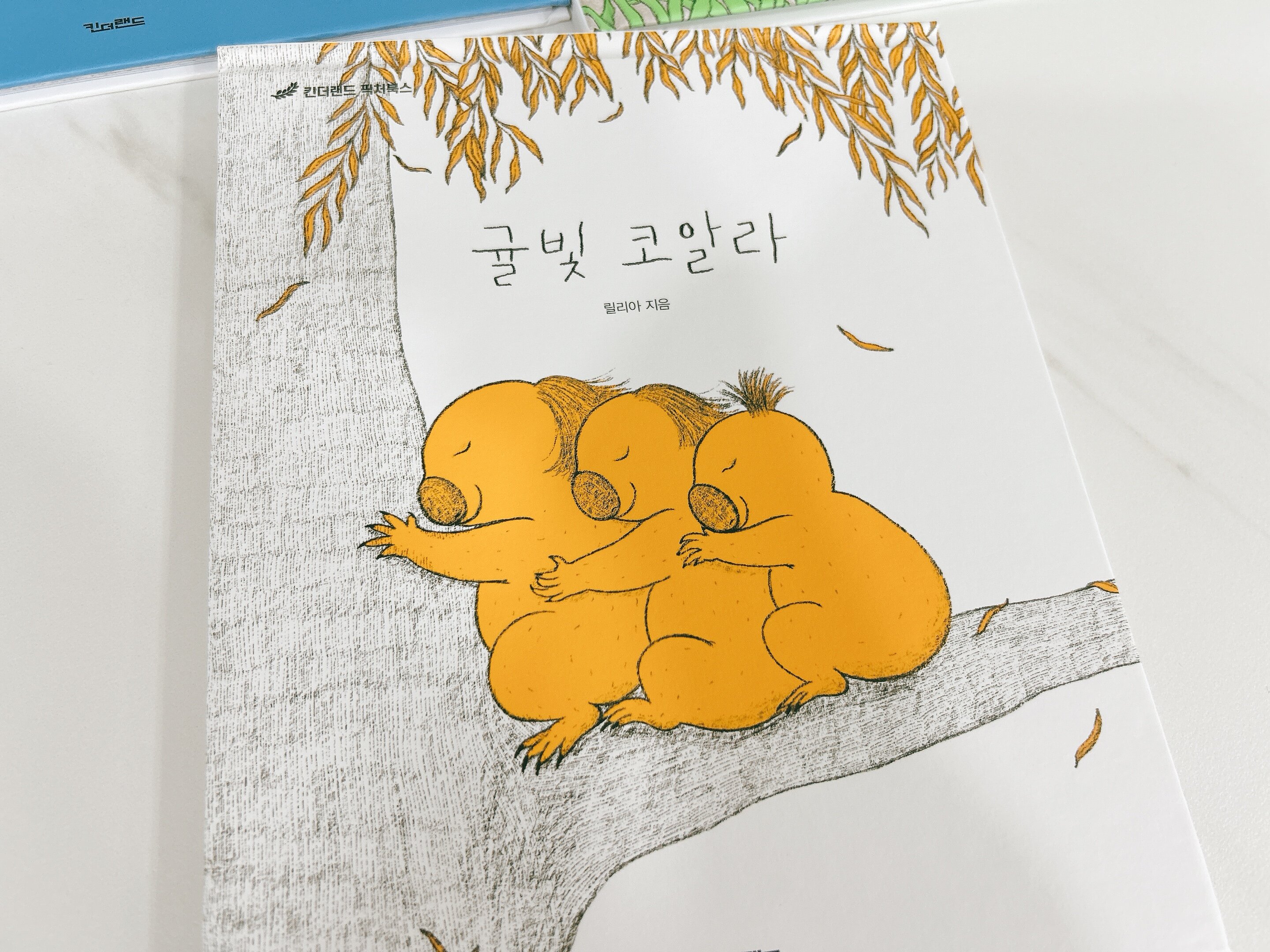 첨부된 사진