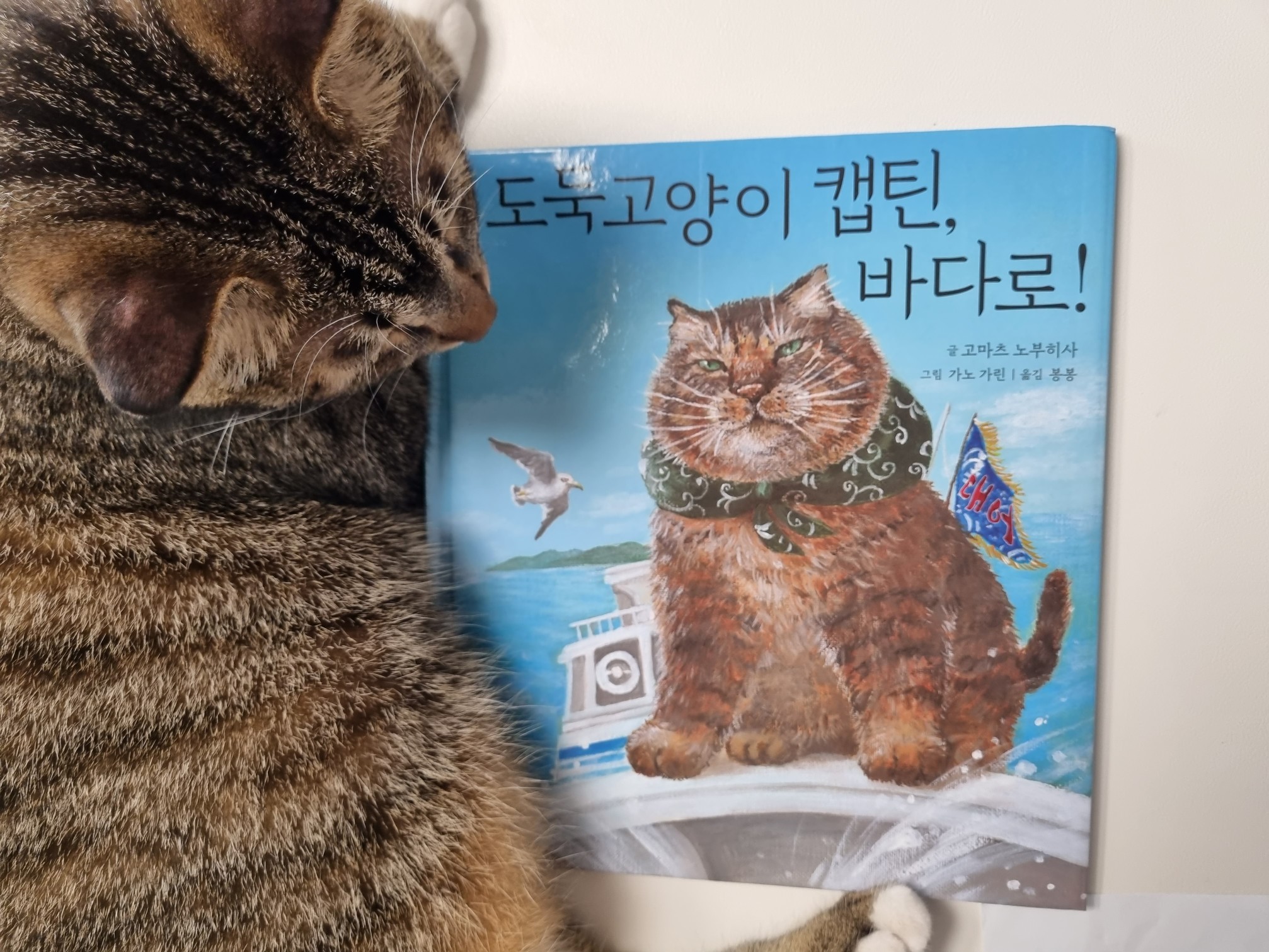 첨부된 사진