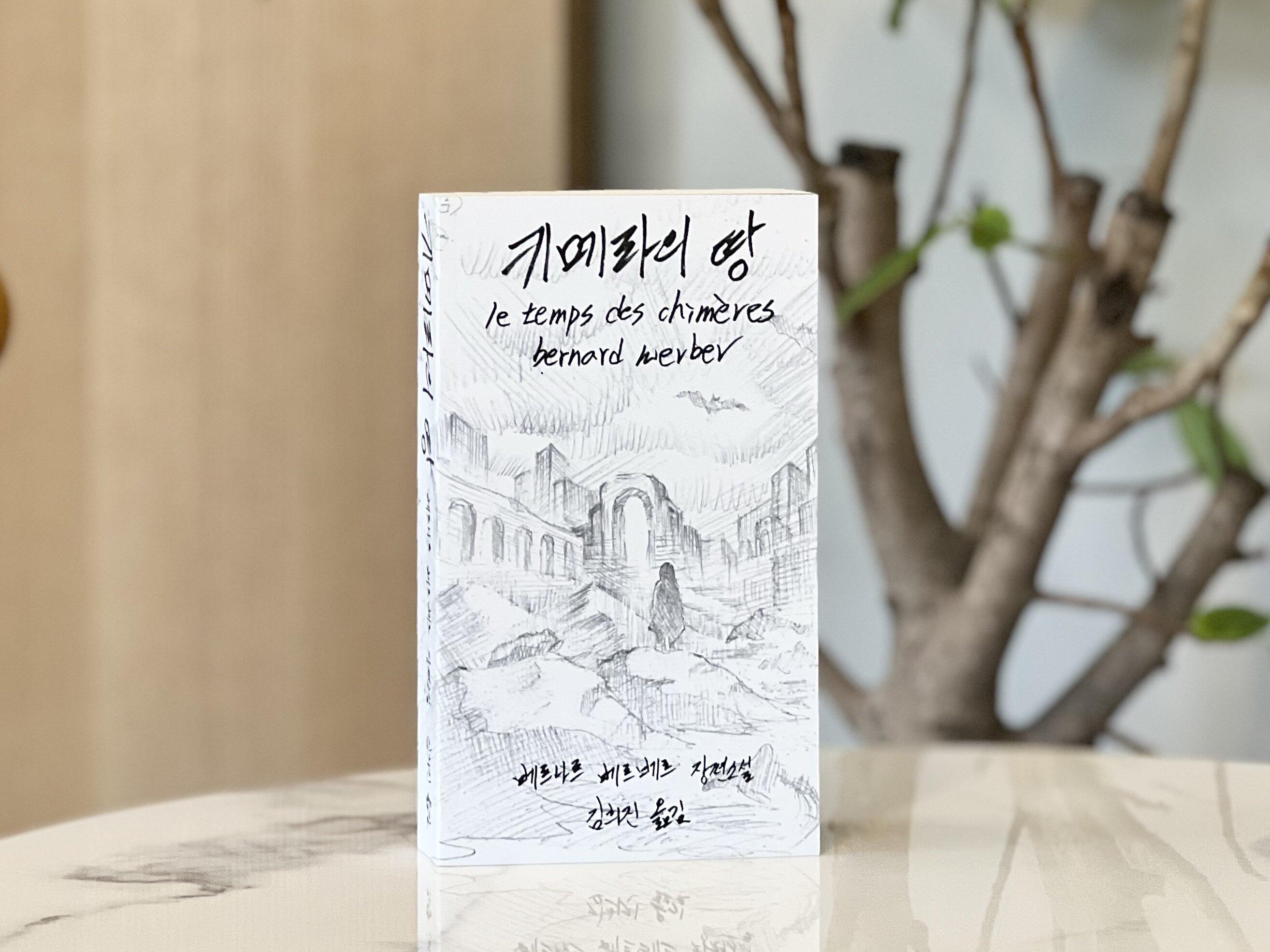 첨부된 사진