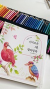 첨부된 사진