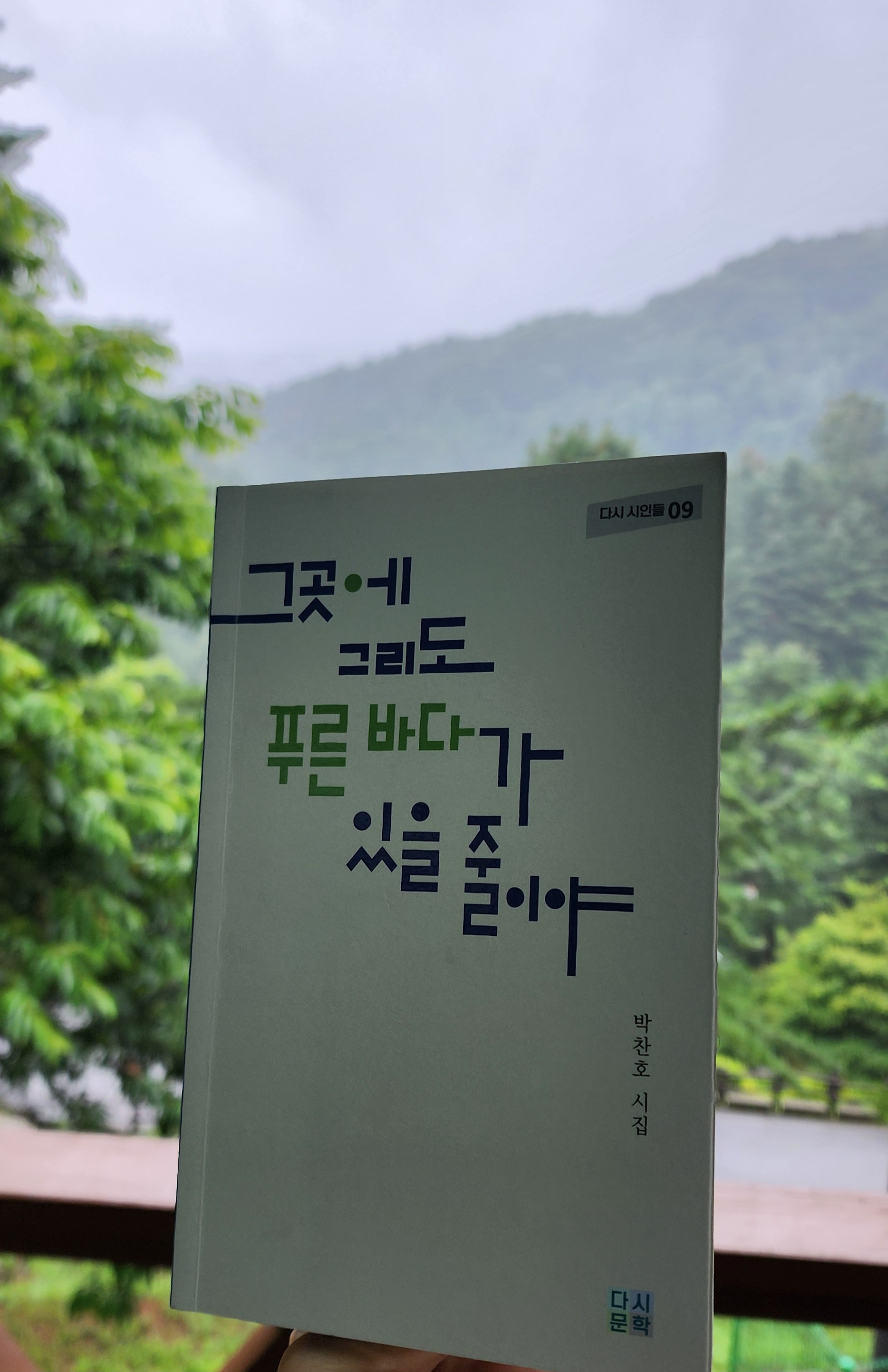 첨부된 사진