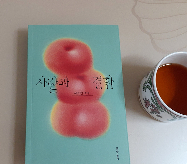 첨부된 사진