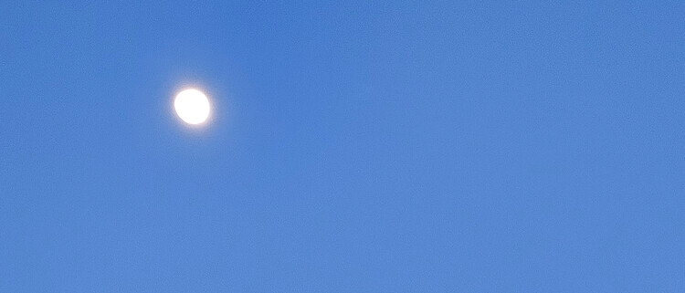 대표사진