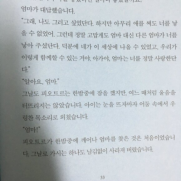 첨부된 사진