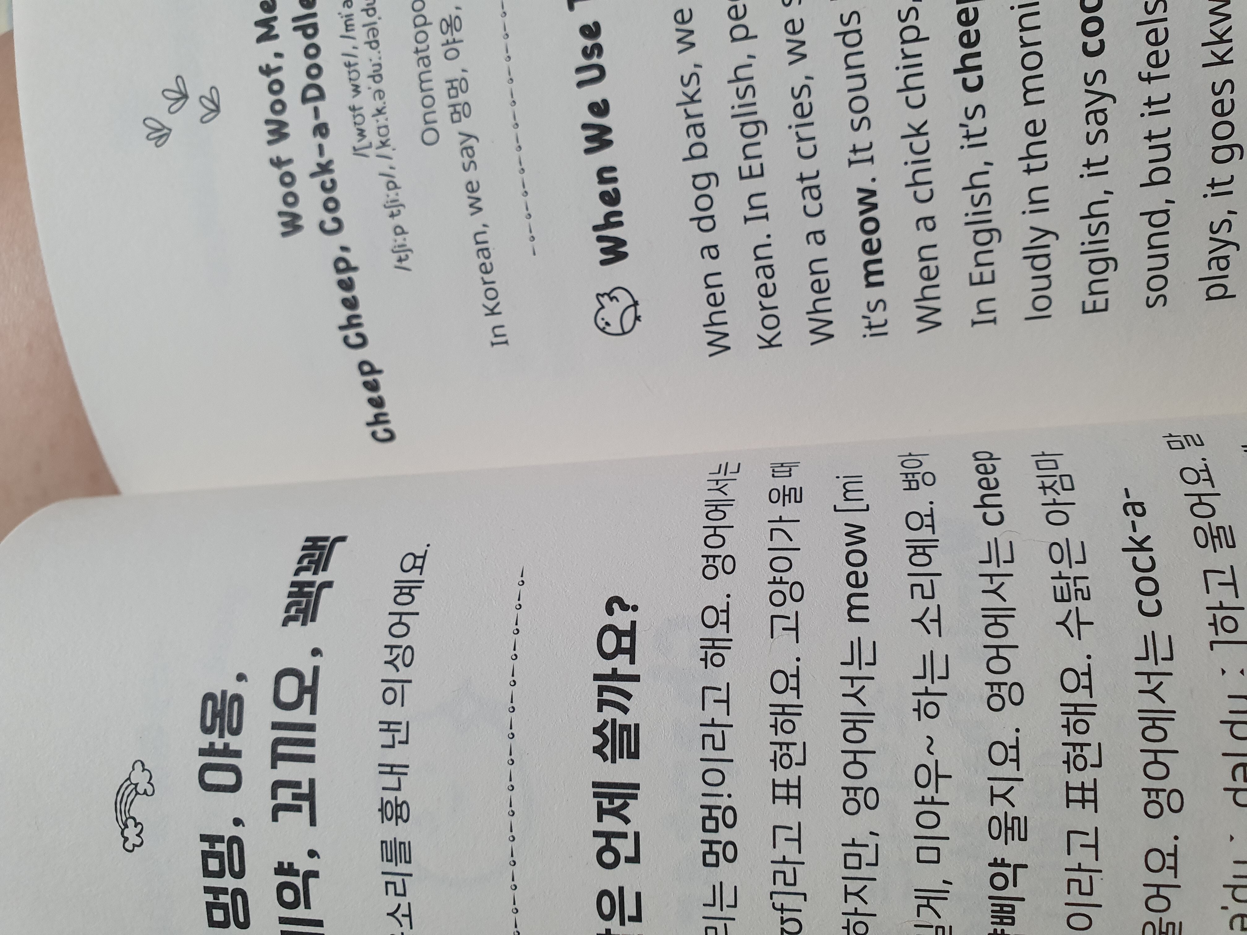 첨부된 사진