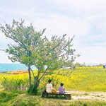 대표사진