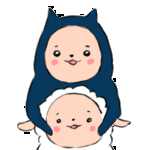 대표사진