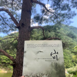대표사진