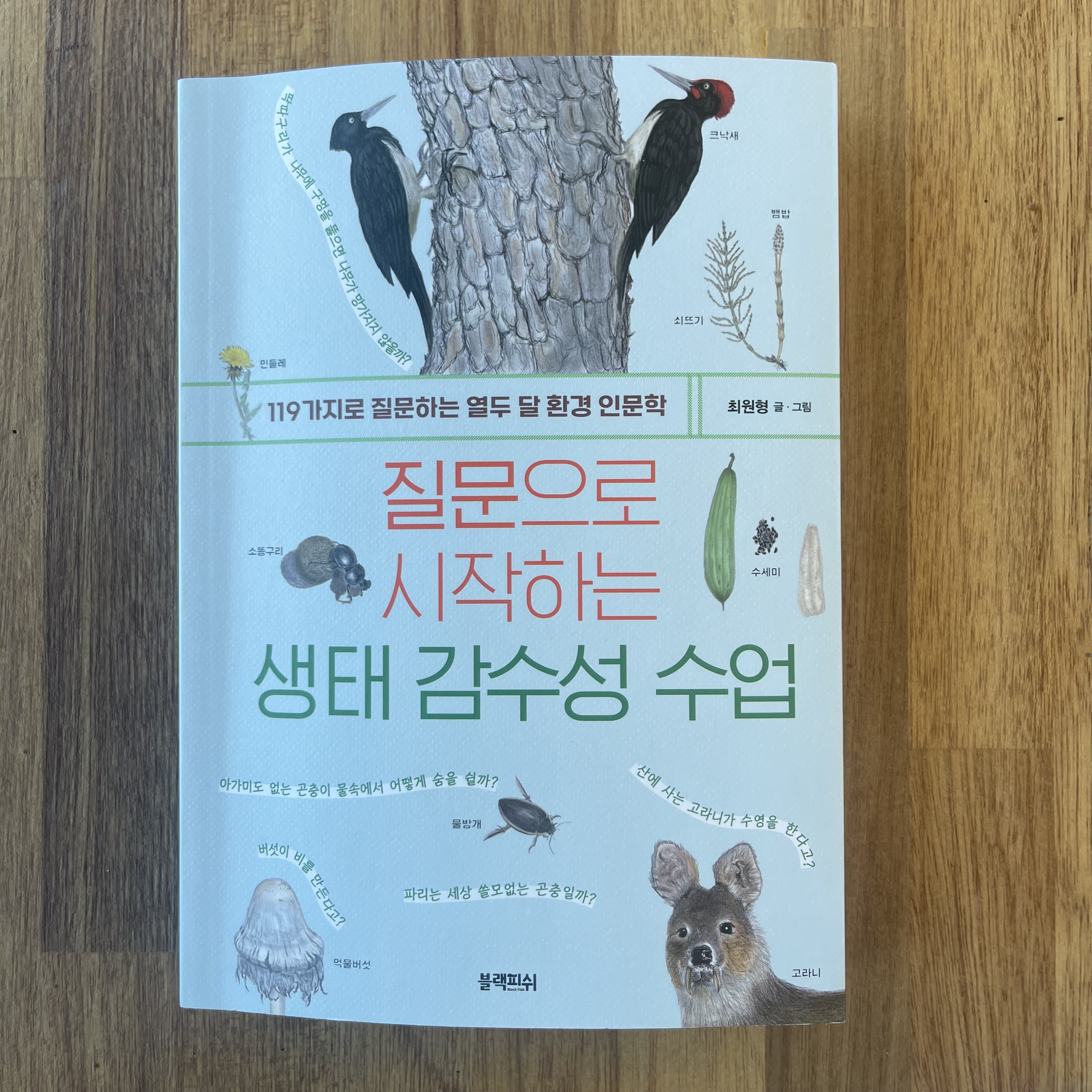 첨부된 사진